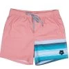 HOOey Youth "The Bigwake" Coral Board Shorts