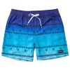HOOey "Bigwake" Blue/Teal Ombre Pattern Board Shorts