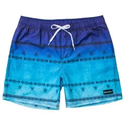 HOOey Youth "Bigwake" Blue/Teal Ombre Pattern Board Shorts